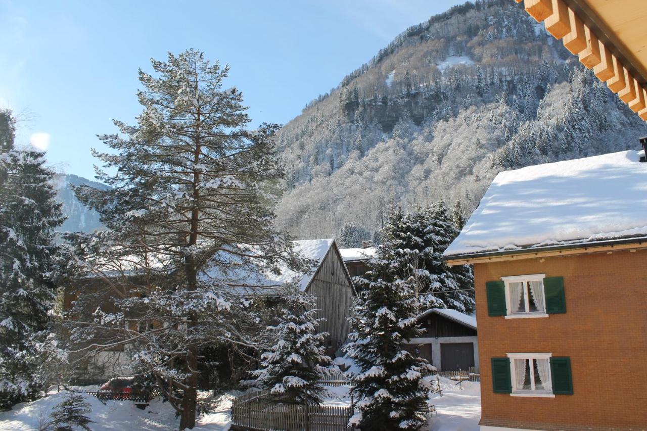 Apartment Bergblick-Mellau Εξωτερικό φωτογραφία